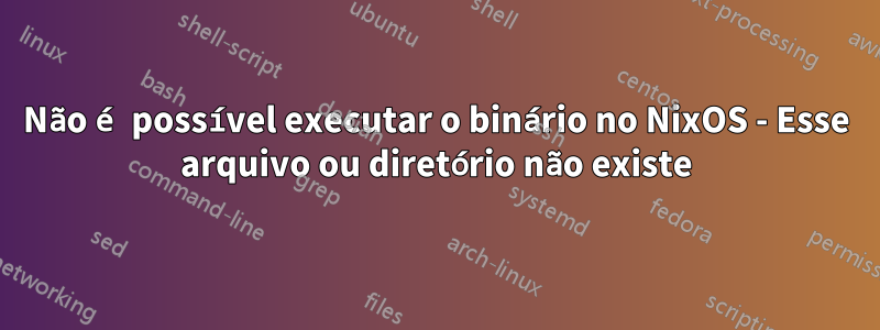 Não é possível executar o binário no NixOS - Esse arquivo ou diretório não existe