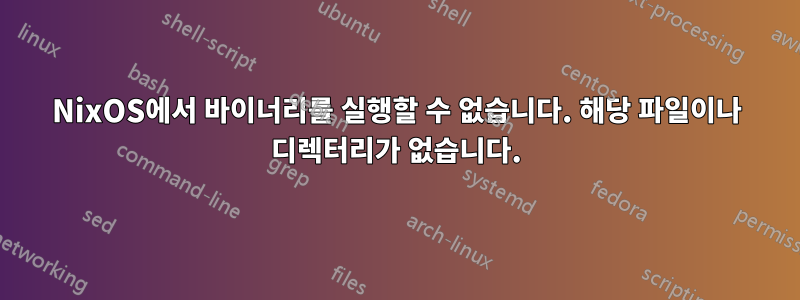 NixOS에서 바이너리를 실행할 수 없습니다. 해당 파일이나 디렉터리가 없습니다.