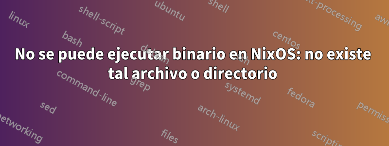 No se puede ejecutar binario en NixOS: no existe tal archivo o directorio