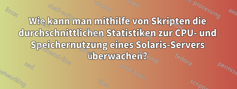 Wie kann man mithilfe von Skripten die durchschnittlichen Statistiken zur CPU- und Speichernutzung eines Solaris-Servers überwachen?