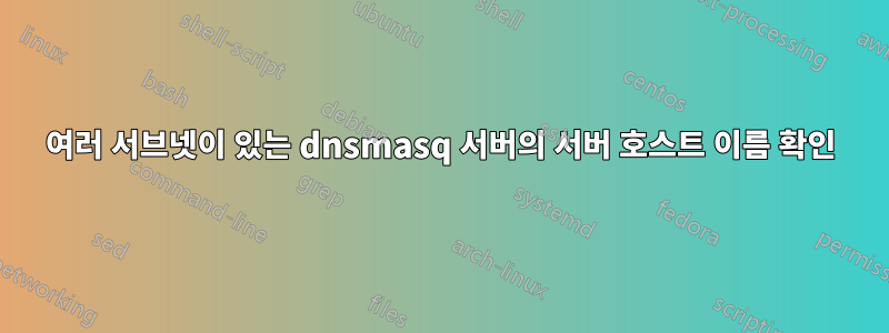 여러 서브넷이 있는 dnsmasq 서버의 서버 호스트 이름 확인