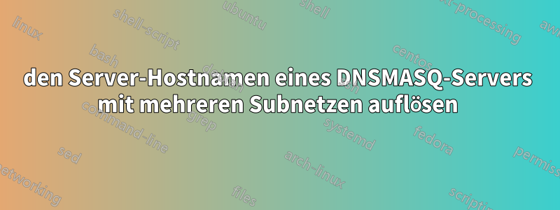 den Server-Hostnamen eines DNSMASQ-Servers mit mehreren Subnetzen auflösen