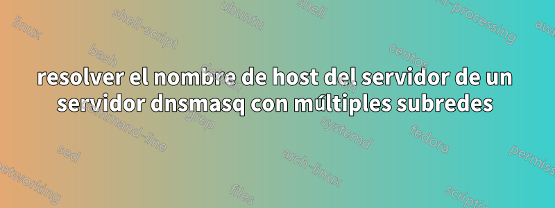 resolver el nombre de host del servidor de un servidor dnsmasq con múltiples subredes