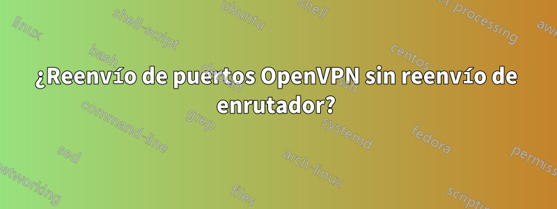 ¿Reenvío de puertos OpenVPN sin reenvío de enrutador?