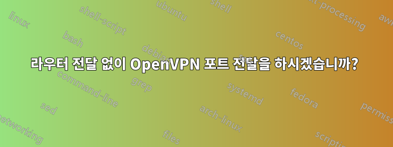 라우터 전달 없이 OpenVPN 포트 전달을 하시겠습니까?