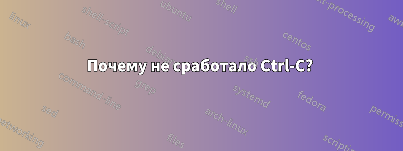 Почему не сработало Ctrl-C?