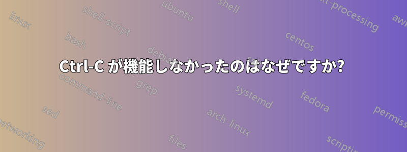 Ctrl-C が機能しなかったのはなぜですか?