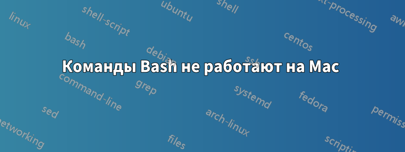 Команды Bash не работают на Mac