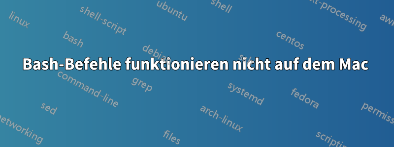 Bash-Befehle funktionieren nicht auf dem Mac