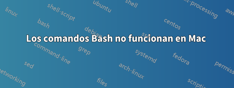 Los comandos Bash no funcionan en Mac