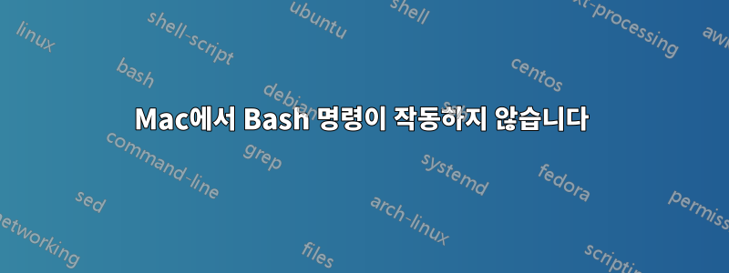 Mac에서 Bash 명령이 작동하지 않습니다