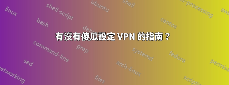 有沒有傻瓜設定 VPN 的指南？