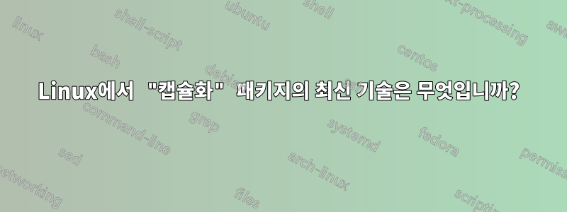 Linux에서 "캡슐화" 패키지의 최신 기술은 무엇입니까? 