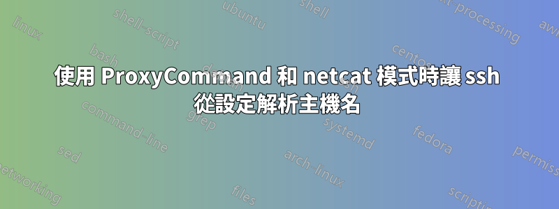 使用 ProxyCommand 和 netcat 模式時讓 ssh 從設定解析主機名