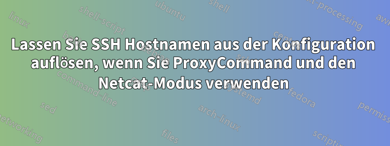 Lassen Sie SSH Hostnamen aus der Konfiguration auflösen, wenn Sie ProxyCommand und den Netcat-Modus verwenden