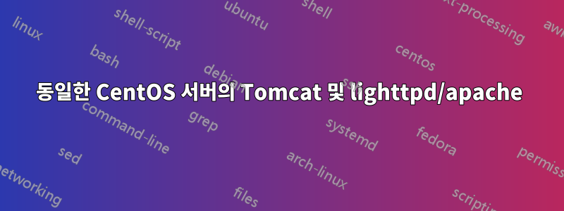 동일한 CentOS 서버의 Tomcat 및 lighttpd/apache