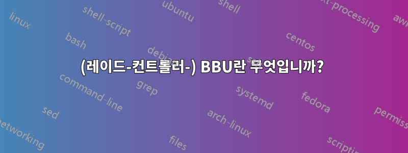 (레이드-컨트롤러-) BBU란 무엇입니까?