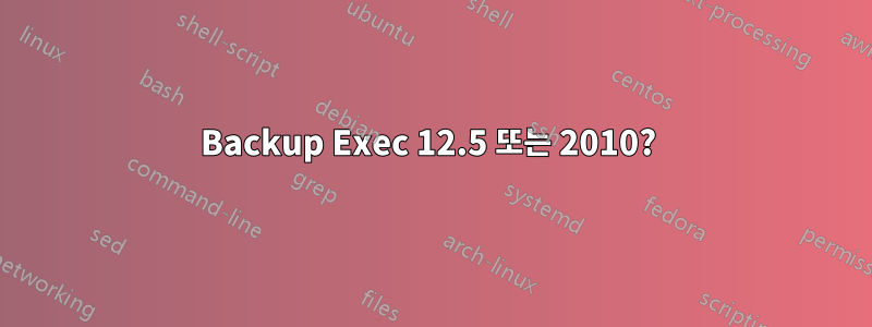 Backup Exec 12.5 또는 2010? 