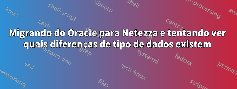 Migrando do Oracle para Netezza e tentando ver quais diferenças de tipo de dados existem