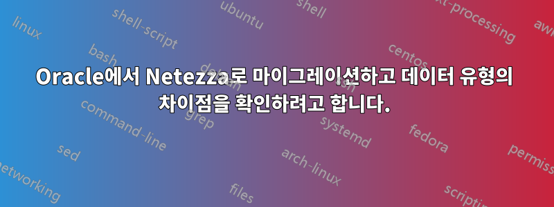 Oracle에서 Netezza로 마이그레이션하고 데이터 유형의 차이점을 확인하려고 합니다.
