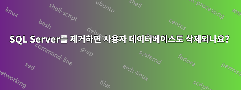 SQL Server를 제거하면 사용자 데이터베이스도 삭제되나요?