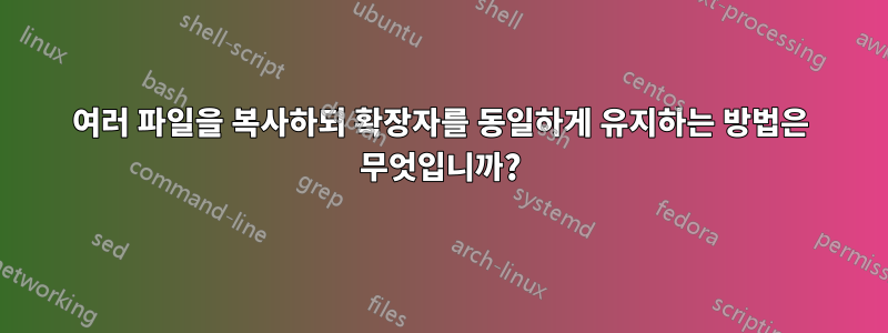 여러 파일을 복사하되 확장자를 동일하게 유지하는 방법은 무엇입니까?