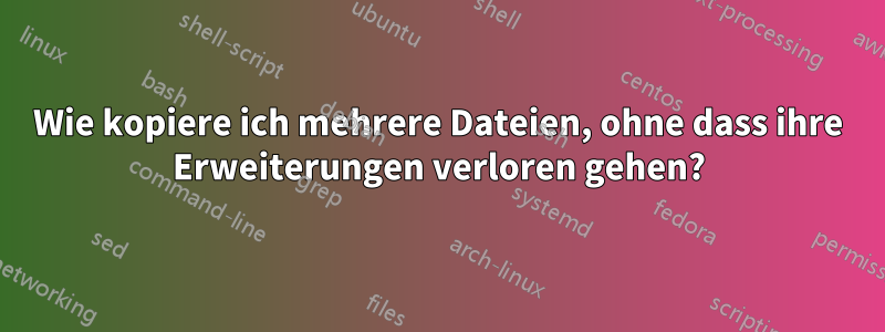 Wie kopiere ich mehrere Dateien, ohne dass ihre Erweiterungen verloren gehen?