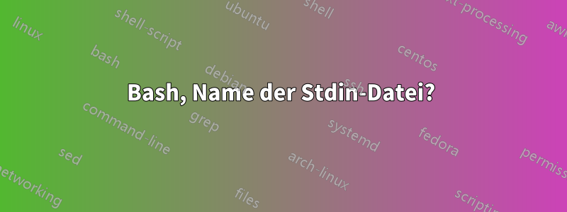 Bash, Name der Stdin-Datei?