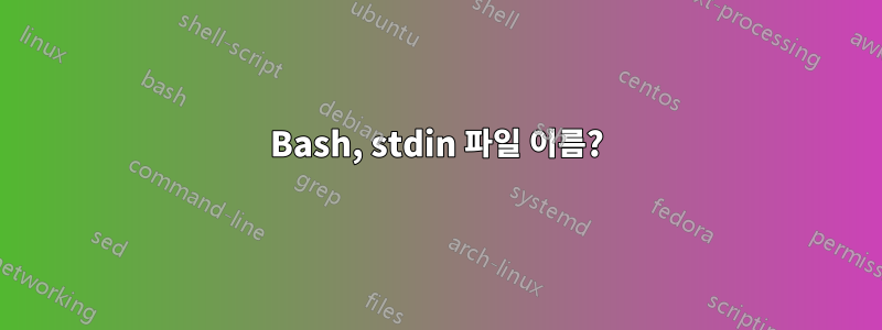 Bash, stdin 파일 이름?