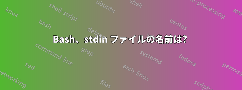 Bash、stdin ファイルの名前は?