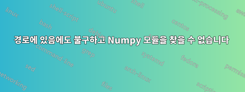 경로에 있음에도 불구하고 Numpy 모듈을 찾을 수 없습니다