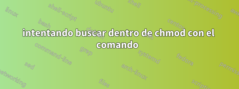 intentando buscar dentro de chmod con el comando 