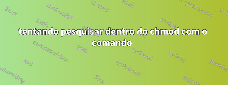 tentando pesquisar dentro do chmod com o comando 