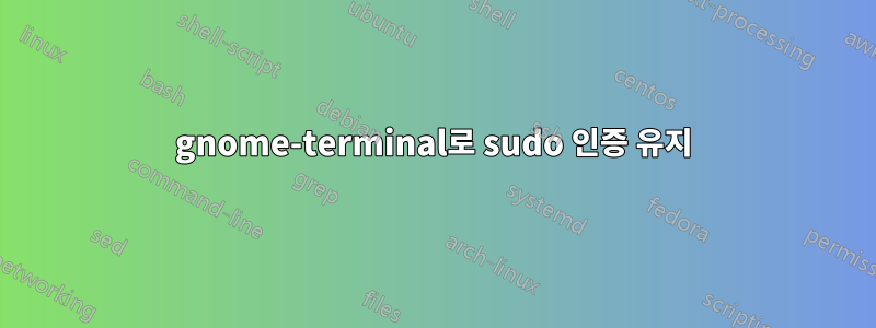 gnome-terminal로 sudo 인증 유지