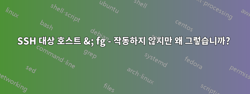 SSH 대상 호스트 &; fg - 작동하지 않지만 왜 그렇습니까?