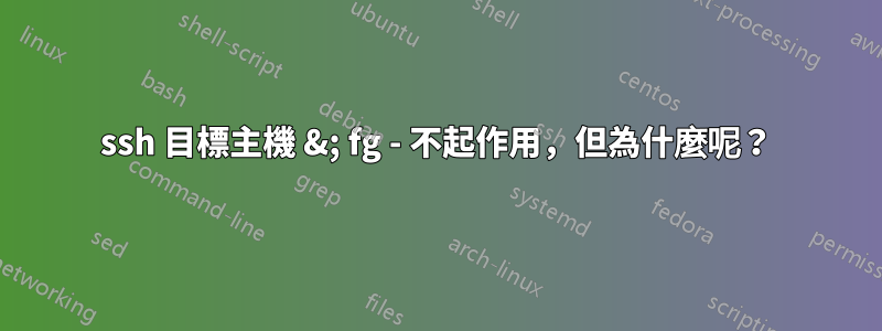 ssh 目標主機 &; fg - 不起作用，但為什麼呢？