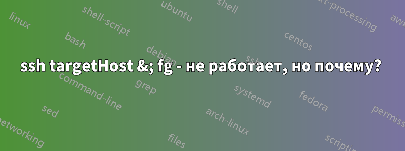 ssh targetHost &; fg - не работает, но почему?