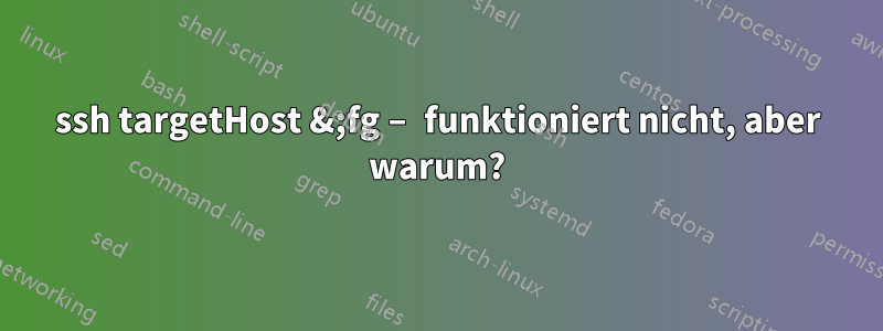 ssh targetHost &;fg – funktioniert nicht, aber warum?