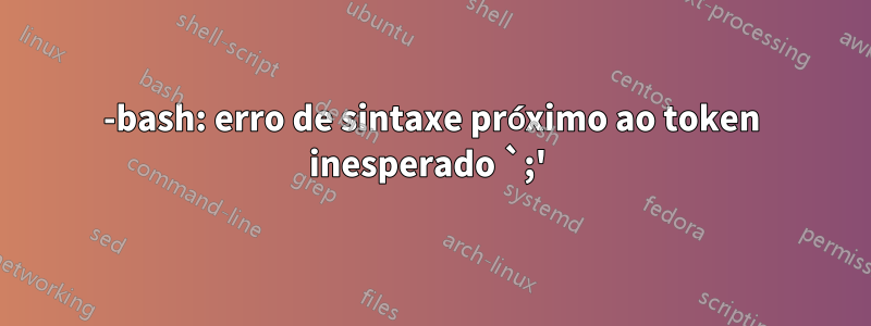 -bash: erro de sintaxe próximo ao token inesperado `;' 