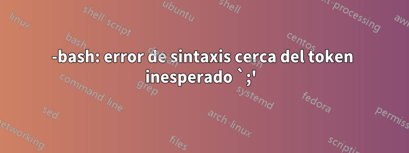 -bash: error de sintaxis cerca del token inesperado `;' 