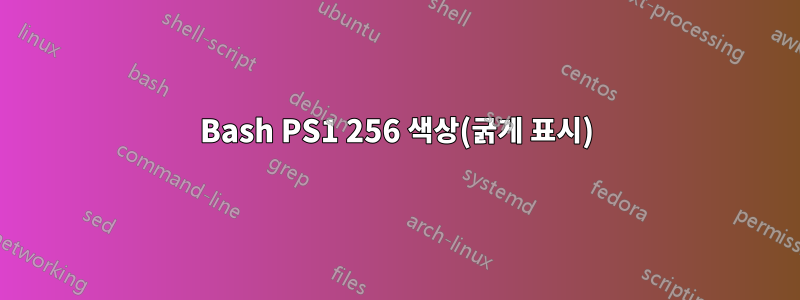 Bash PS1 256 색상(굵게 표시)