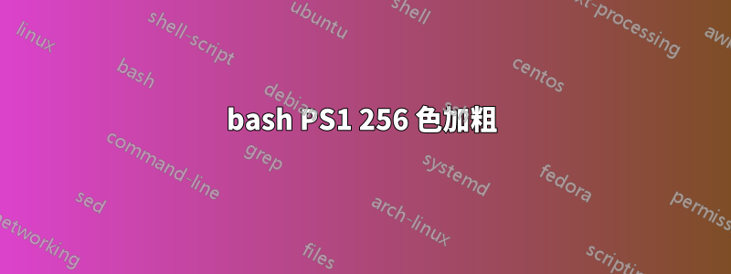 bash PS1 256 色加粗