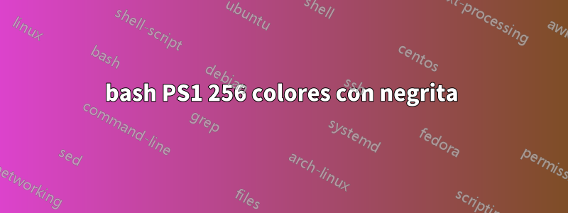 bash PS1 256 colores con negrita