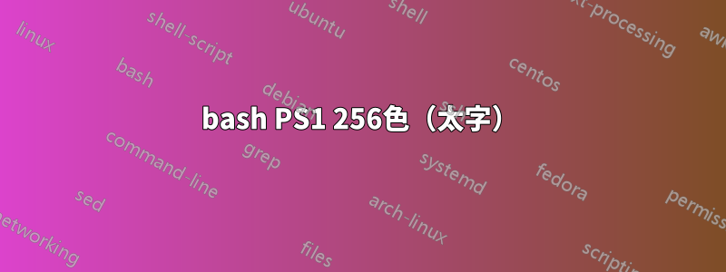 bash PS1 256色（太字）