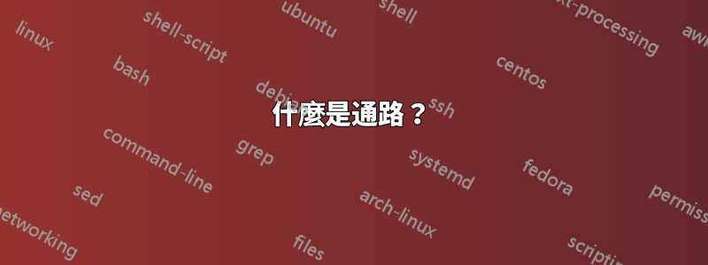 什麼是通路？