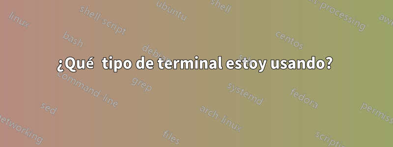 ¿Qué tipo de terminal estoy usando?