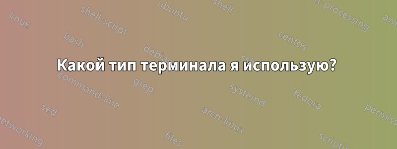 Какой тип терминала я использую?