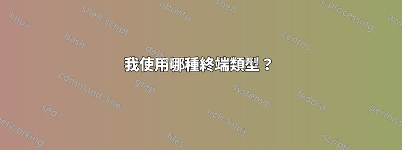 我使用哪種終端類型？