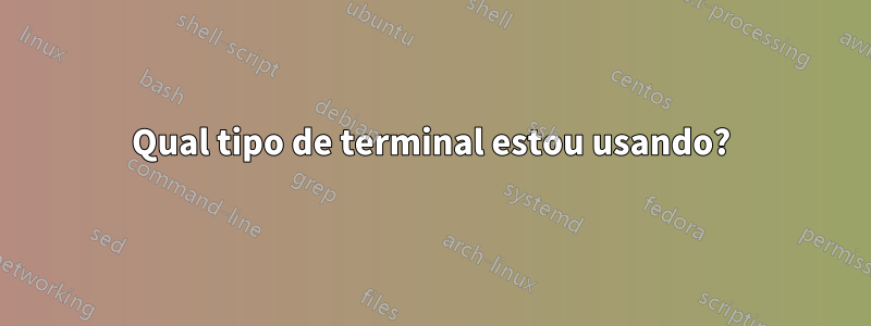 Qual tipo de terminal estou usando?