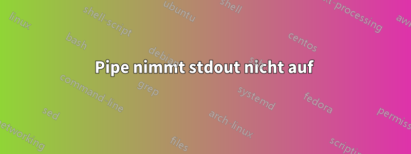 Pipe nimmt stdout nicht auf